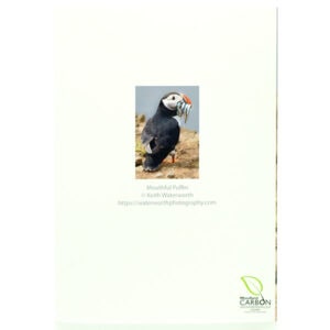 Mouthful Puffin Greeting Card (reverse)