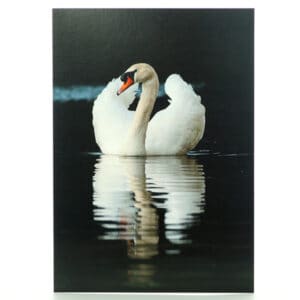 Serene Swan Greeting Card