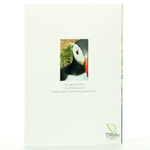 Thoughtful Puffin Greeting Card (reverse)