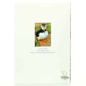 Curious Puffin Greeting Card (reverse)