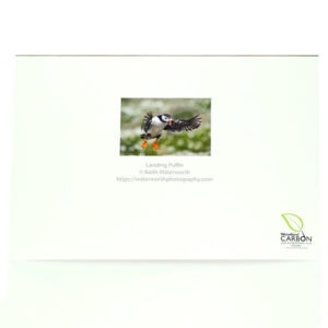 Landing Puffin Greeting Card (reverse)