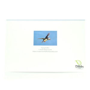 Flying Puffin Greeting Card (reverse)